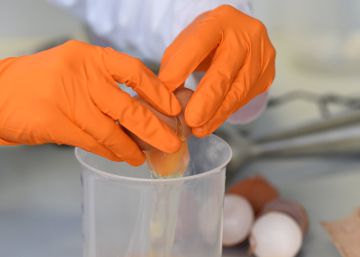 Reino Unido identifica 700.000 huevos sospechosos de estar contaminados Reino Unido identifica 700.000 huevos sospechosos de estar contaminados