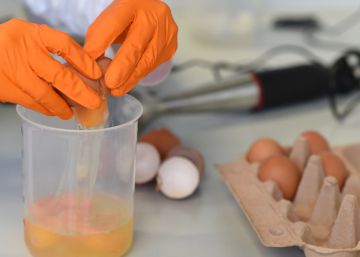 Dinamarca confirma la distribución de 20 toneladas de huevos contaminados