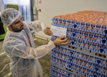 La crisis de los huevos revela fallos en el control de la UE La crisis de los huevos revela fallos en el control de la UE