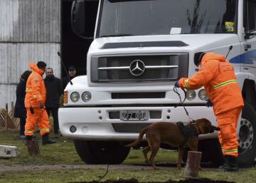 Una soga y unos cabellos alimentan el misterio del desaparecido que apoyaba a los mapuches en Argentina