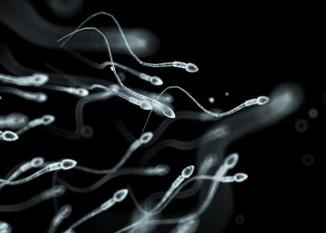 Un superdonante de semen con más de 100 hijos asombra a Holanda