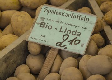 La producción ecológica y sus repercusiones en la alimentación La producción ecológica y sus repercusiones en la alimentación