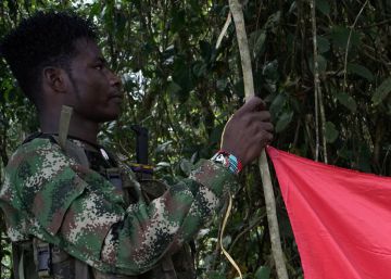 Colombia y el ELN pactan un cese al fuego en vísperas de la visita del Papa Colombia y el ELN pactan un cese al fuego en vísperas de la visita del Papa