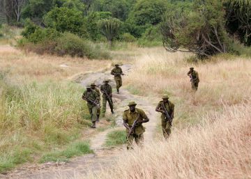 Los inquietantes asesinatos de guardabosques en un parque nacional de Congo Los inquietantes asesinatos de guardabosques en un parque nacional de Congo