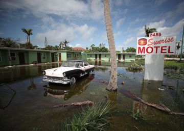 “Pasó Irma y nos quedamos con Trump”