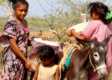 ¿Caminarías cinco horas para conseguir agua? Estos colombianos lo hacían casi a diario ¿Caminarías cinco horas para conseguir agua? Estos colombianos lo hacían casi a diario