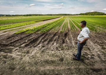 Alemania, la meca de la comida ecológica