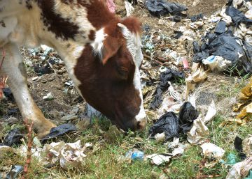 Ojo, pasear en Kenia con una bolsa de plástico te puede llevar a la cárcel Ojo, pasear en Kenia con una bolsa de plástico te puede llevar a la cárcel
