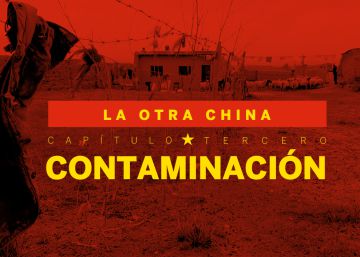 La polución alcanza incluso el paraíso más remoto