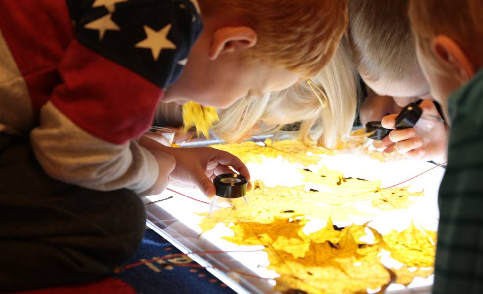 A group of kids study leaves at the Pikel daycare center in Vantaa, Finland.