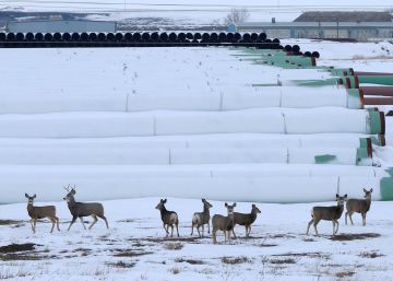 El polémico oleoducto Keystone XL supera el último escollo para su construcción