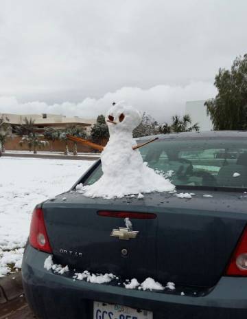 Nevada en México