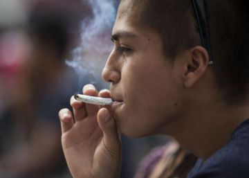 “Es irresponsable mantener la prohibición de la marihuana en México”