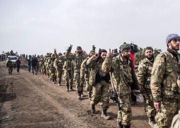 ¿Dónde están los combatientes del ISIS?