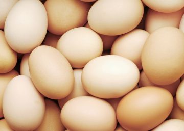 La delegación noruega en los JJ OO recibe 13.500 huevos de más por traducir mal el pedido al coreano