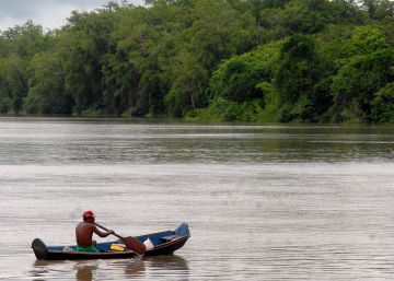 Preservar a Amazônia gera empregos e paz para a América Latina