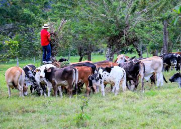 Tierras que alimentarán al mundo y protegerán la vida silvestre