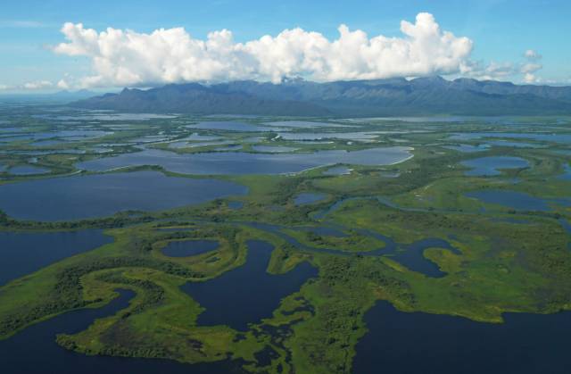 Vista aérea del Gran Pantanal, ubicado en la región del Mato Grosso, en Brasil.