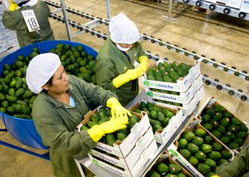 Cómo potenciar uno de los principales motores de la economía del Perú