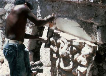 Memorias de un robo en la selva maya (y de tres o cuatro orquídeas extraordinarias)