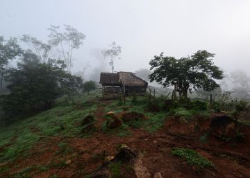Un incendio arrasa más de 5.000 hectáreas de selva en el sur de Nicaragua