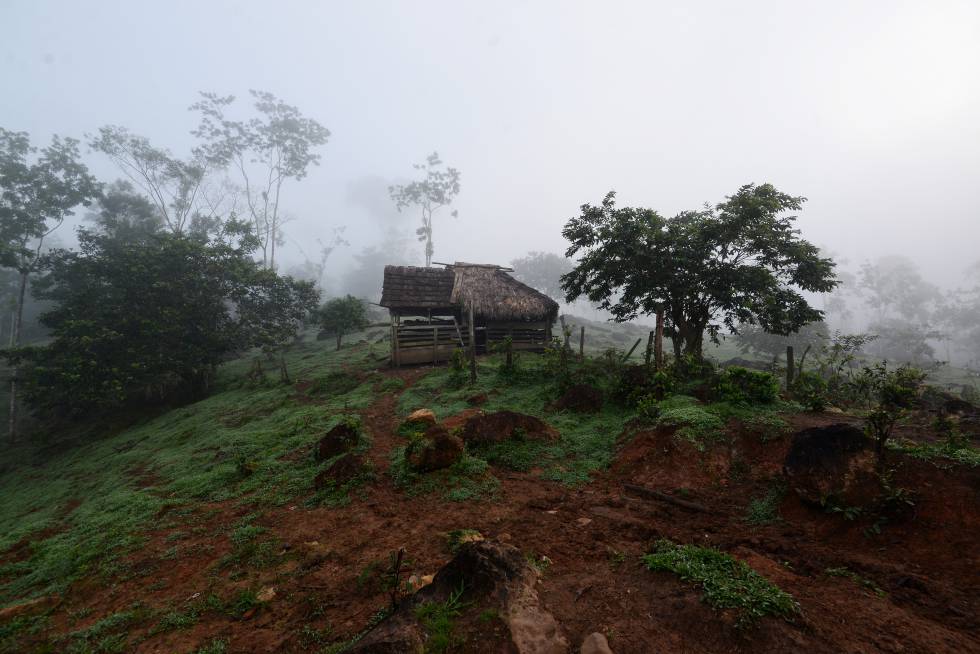 Un incendio arrasa más de 5.000 hectáreas de selva en el sur de Nicaragua Un incendio arrasa más de 5.000 hectáreas de selva en el sur de Nicaragua