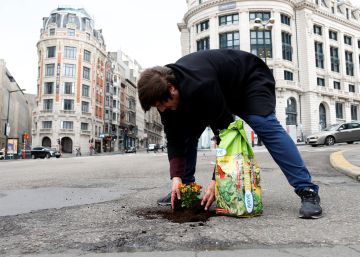 Anton Schuurmans, el holandés que llena de flores los baches de Bruselas