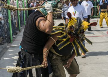 Dos tigres pelean y el agua cae del cielo