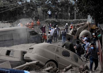 Un vergel arrasado por la lava