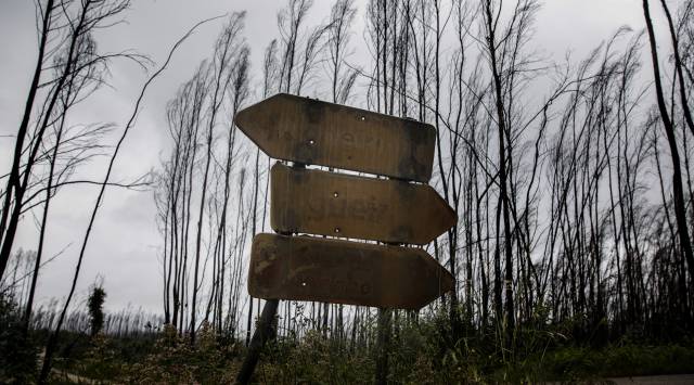 Señales calcinadas por las llamas de los incendios de Portugal en junio de 2017.