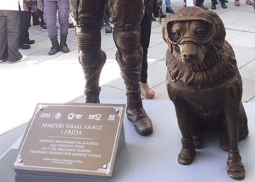 Frida, la perrita rescatista de la Marina de México ya tiene su estatua