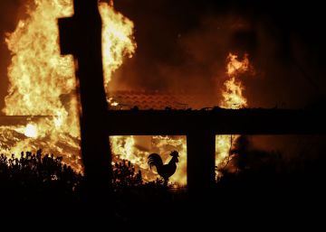 La tragedia de Grecia llega en uno de los años con menos superficie quemada en promedio de la última década