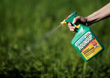Monsanto é condenada nos EUA por não advertir que seu agrotóxico podia ser cancerígeno