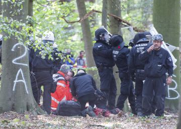 La oposición a la tala de un bosque reaviva el ecologismo alemán