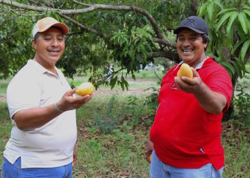 Pequeños préstamos para llegar a grandes mercados