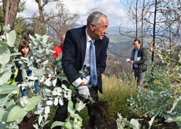 El presidente de Portugal persigue a los eucaliptos con sus propias manos