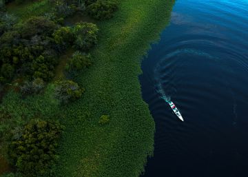 Una nueva amenaza se ciñe sobre la Amazonia