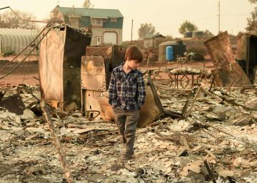 California, Portugal y Galicia, víctimas de incendios 6.0