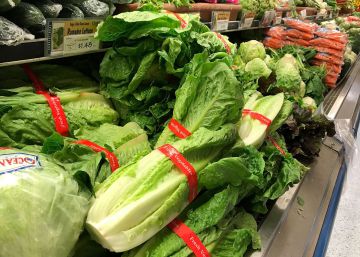 La lechuga romana no es apta para
el consumo en EE UU
