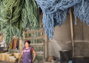 El color de las plantas
