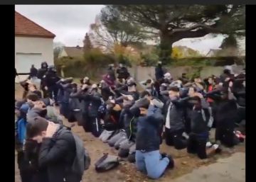 Francia investiga la detención de un centenar de estudiantes en las protestas