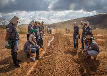 Combater as mudanças climáticas traz ganhos para os agricultores do Cerrado
