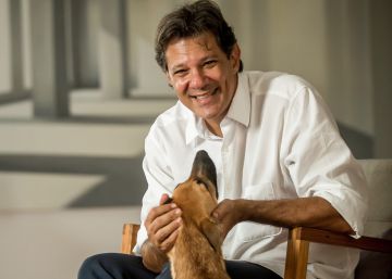 “Veremos si el Congreso y el Supremo funcionan como contrapeso en Brasil”