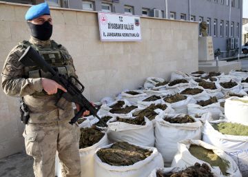 Erdogan apuesta por el cannabis en Turquía