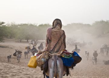 Asesinados al menos 135 pastores peul en una posible matanza étnica en Mali