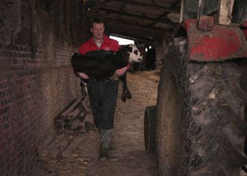 El campo francés impulsa la agricultura ecológica de la mano de la UE