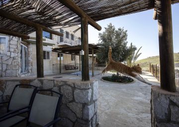 Airbnb reanuda la oferta de alojamientos en los asentamientos de Cisjordania