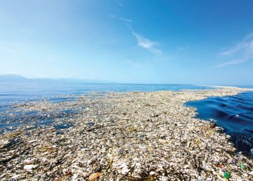 12 ideas para combatir la contaminación marina en el Caribe