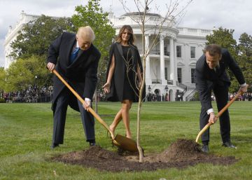 El triste destino del ‘árbol de la amistad’ que Trump y Macron plantaron en el jardín de la Casa Blanca