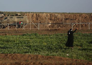 La ‘guerra herbicida’ de Israel arrasa cultivos en Gaza